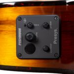 Breedlove Pursuit Exotic S Concert Tiger's Eye CE Myrtlewood-Myrtlewood