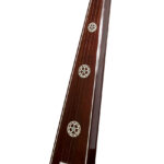 Tanpura by Monoj Kumar Sardar